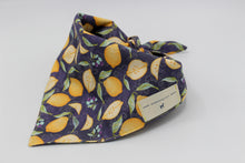 Load image into Gallery viewer, Lemon Tie-On Bandana