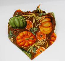 Load image into Gallery viewer, Harvest Tie-On Bandana